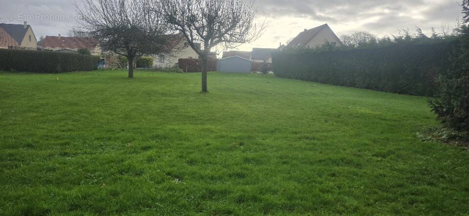 Terrain à GRUCHET-LE-VALASSE