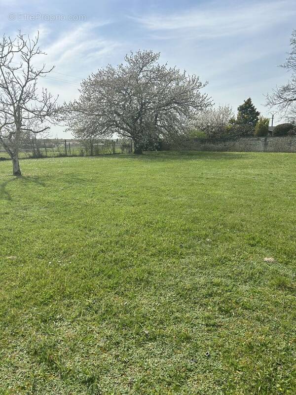 Terrain à JUILLAC-LE-COQ