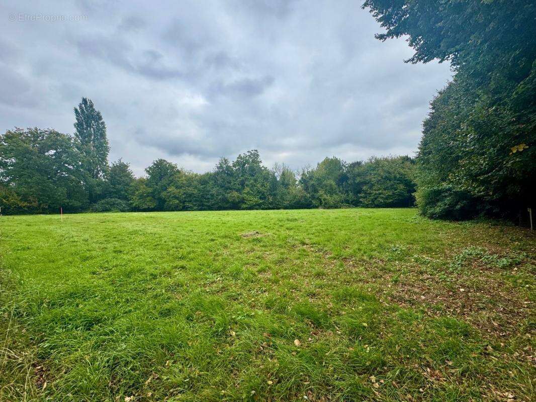 Terrain à VILLENEUVE-D&#039;ASCQ