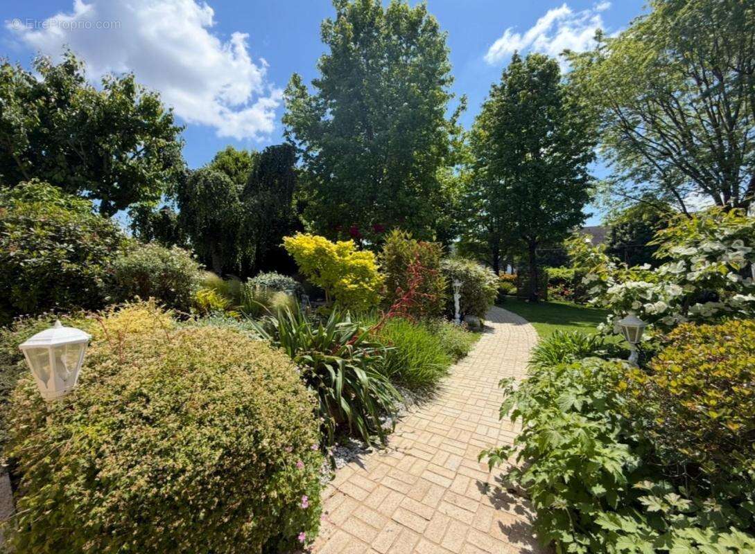 Maison à MALESTROIT