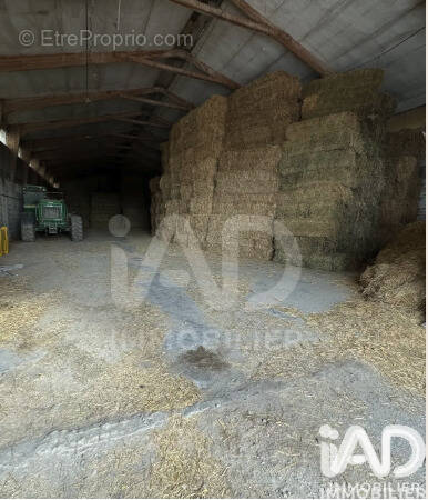 Photo 1 - Maison à MEJANNES-LES-ALES