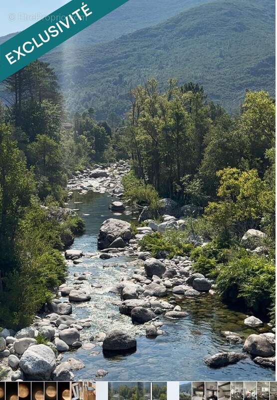 Photo 4 - Maison à ROSPIGLIANI