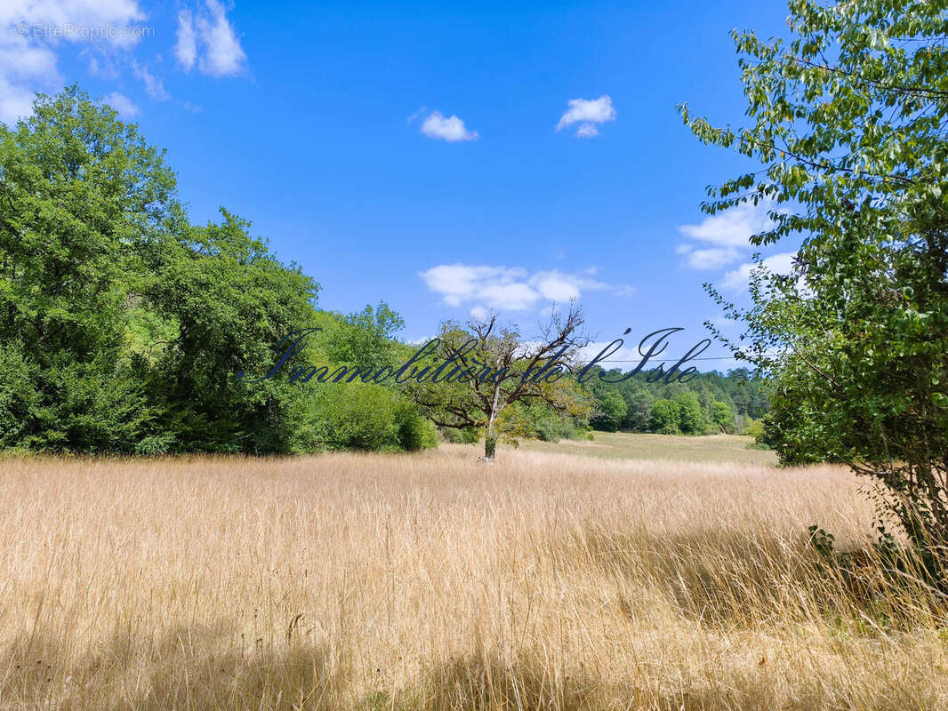 Campagne perigourdine, maison en pierre + gite sur 8000 m2 - photo 2
