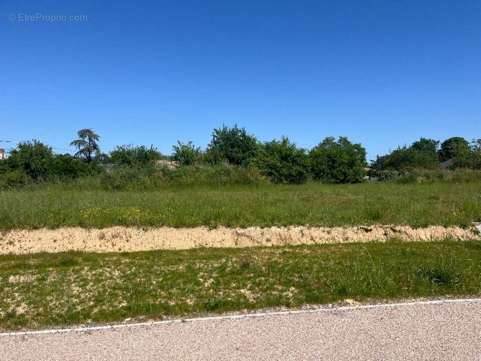 Terrain 700 m² à Tecou  - photo 3