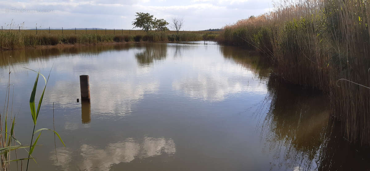 Terrain à VIGNEULLES-LES-HATTONCHATEL