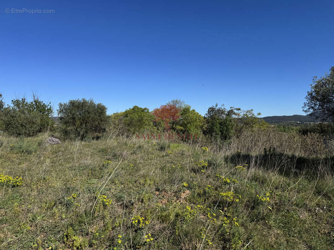 Terrain à SAINT-JEAN-DE-FOS