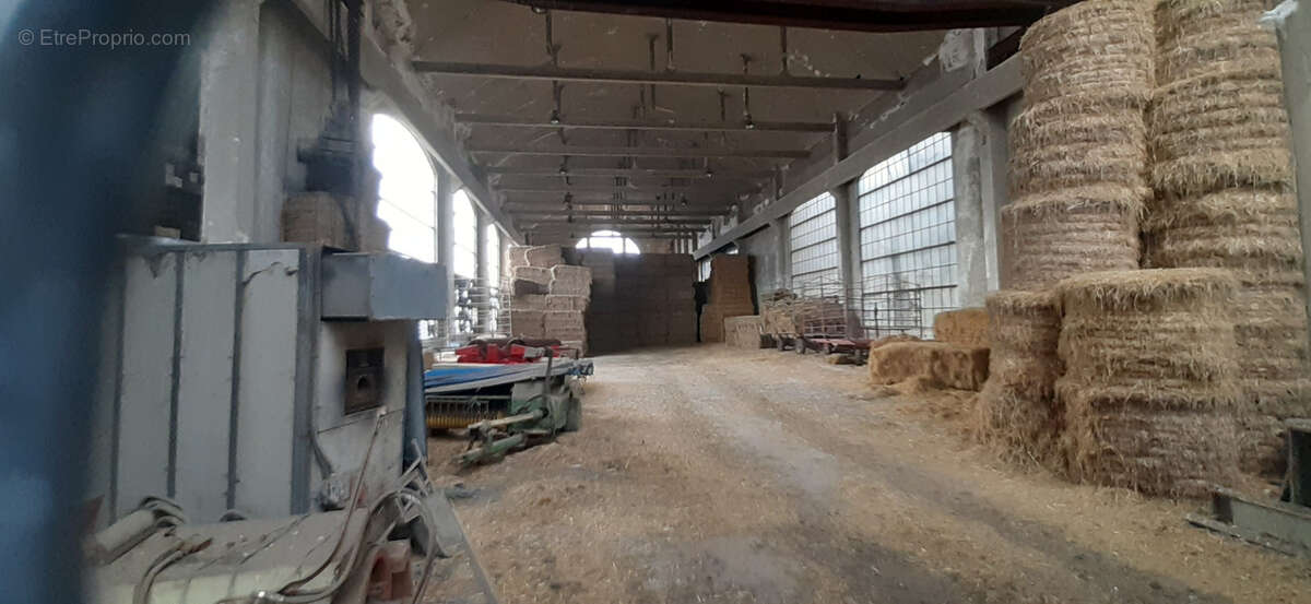Propriété 50 ha avec chalet, étang, rivière, anciens bâtiments inductriels, prés, bois, terres - photo 6
