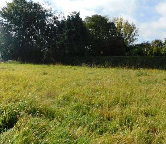 Terrain à GUECELARD