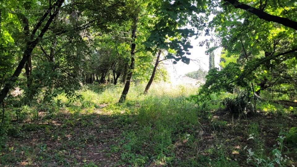 Terrain à BOURG-SAINT-ANDEOL