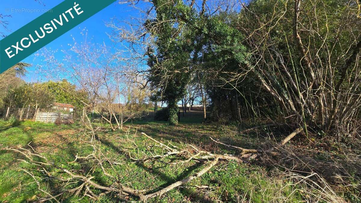 Photo 4 - Terrain à CIVAUX