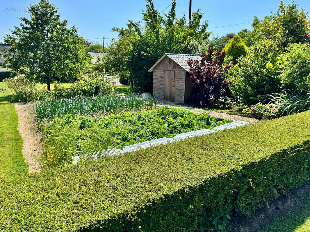 Maison à TOCQUEVILLE-EN-CAUX