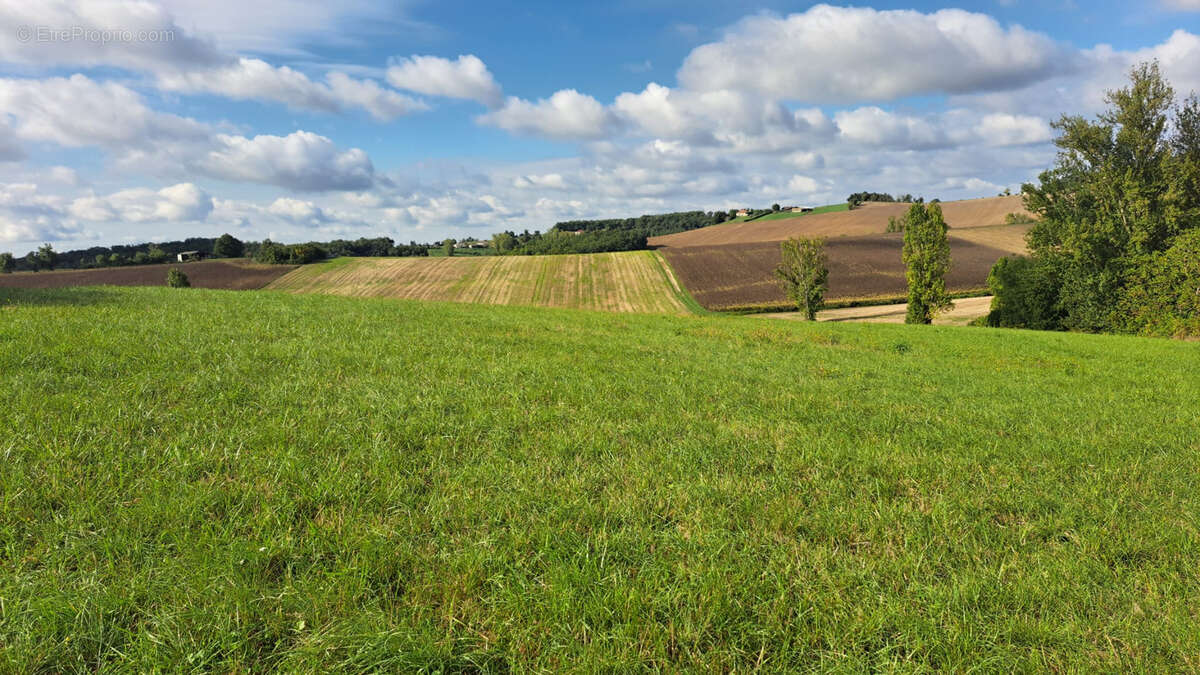 Terrain à MONTPEZAT-DE-QUERCY