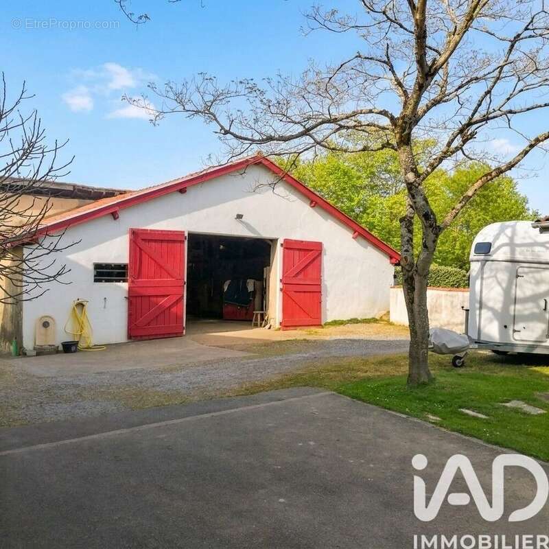 Photo 6 - Maison à SAINT-MARTIN-DE-SEIGNANX