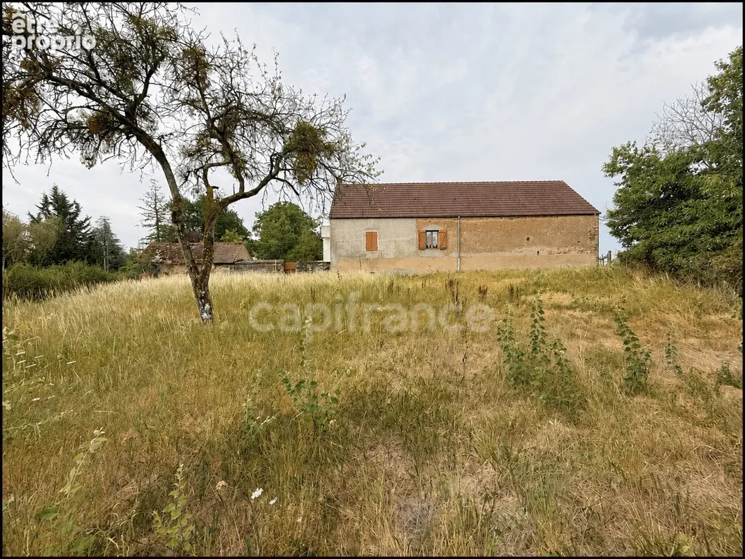 Maison à vendre 3 pièces LE BREUIL (71) - photo 3