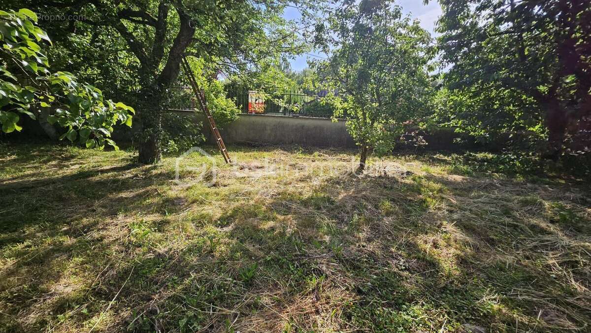 Terrain à BETON-BAZOCHES