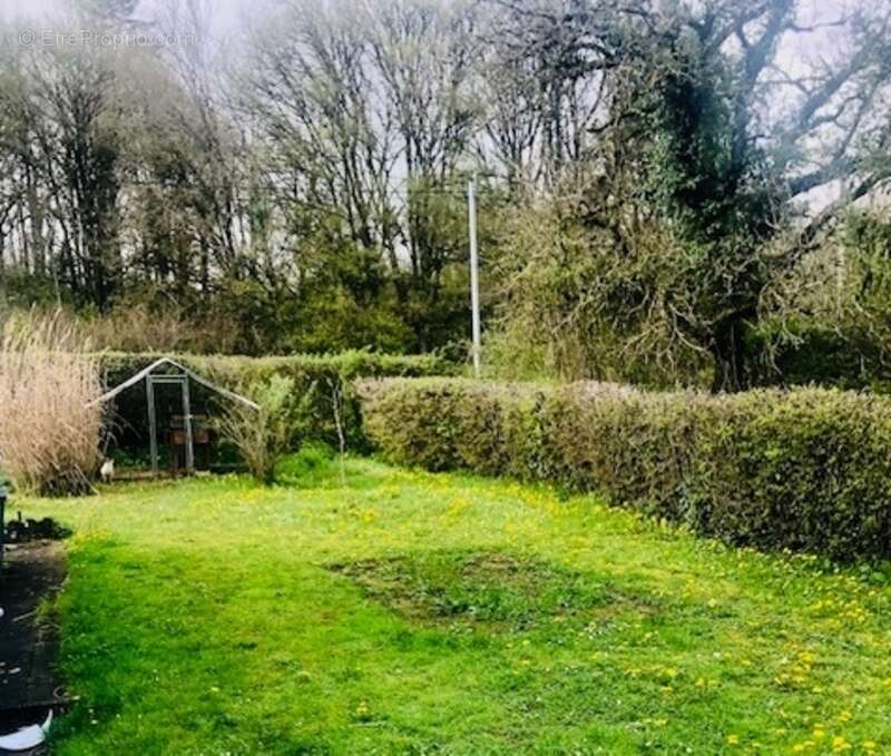 Dpt Yonne (89), à vendre TREIGNY maison 4 pièces sur deux niveaux parcelle de 980m² - photo 18