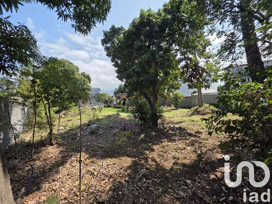 Photo 8 - Terrain à SAINT-LOUIS