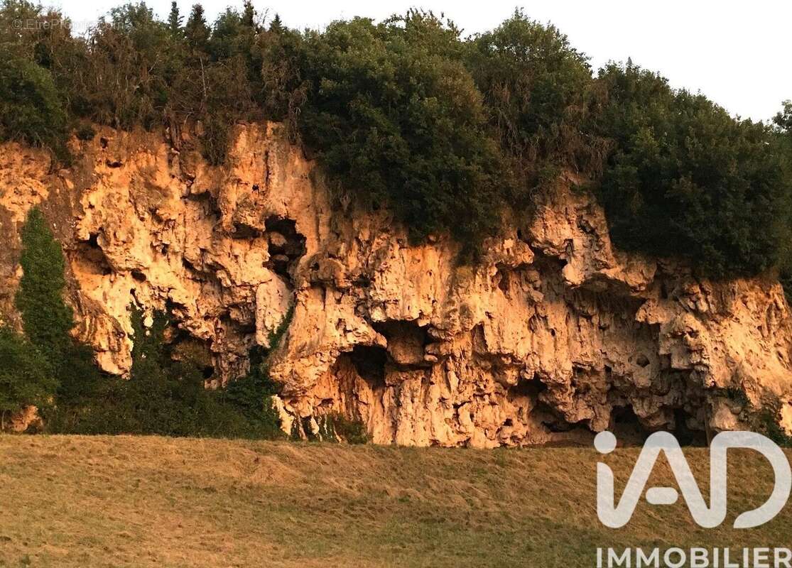 Photo 8 - Terrain à SAINT-ROME-DE-TARN