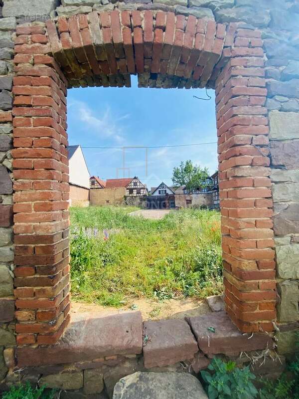 Appartement à MOMMENHEIM