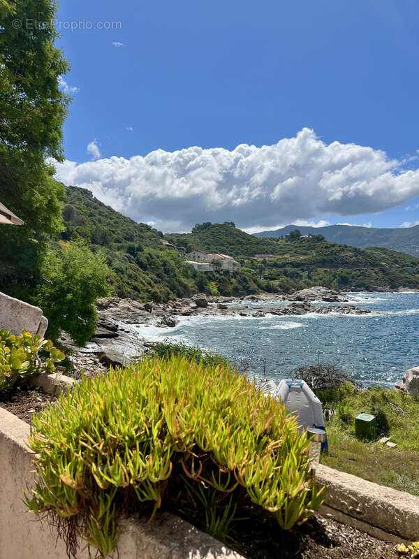 Appartement terrasses vue mer - photo 40