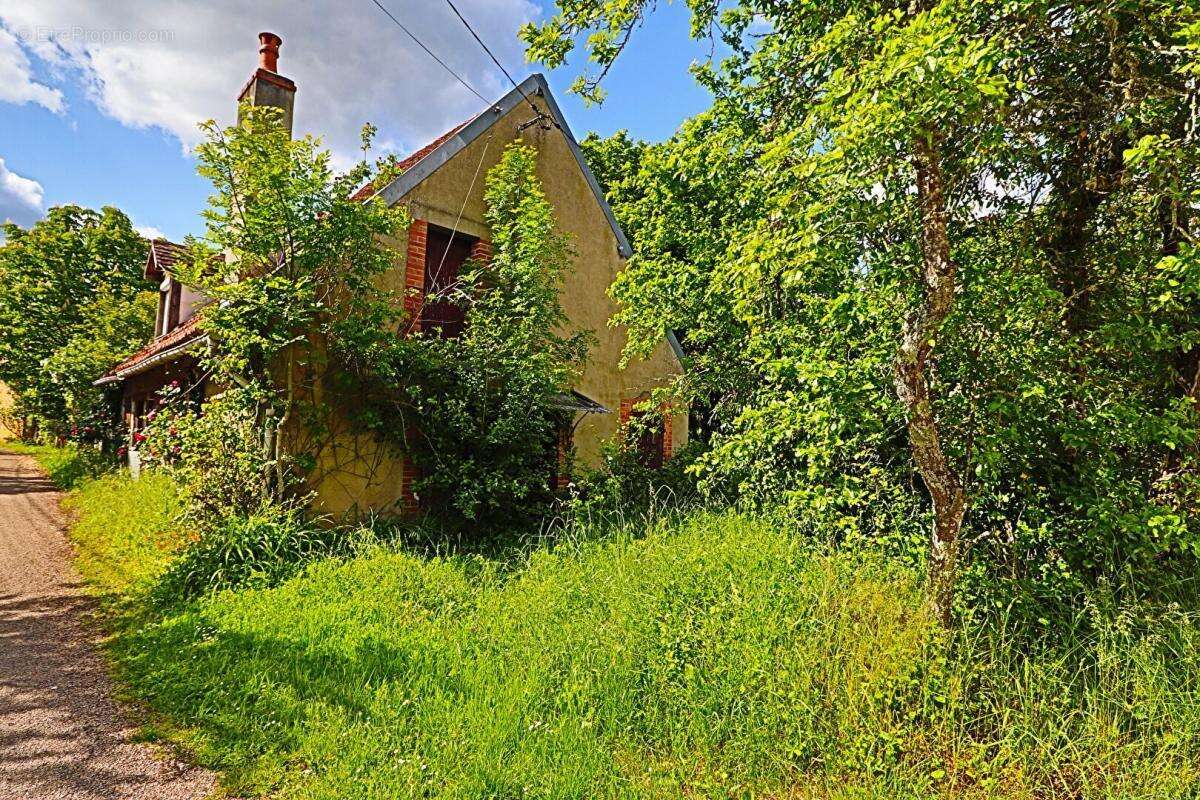 Maison à SAVIGNY-EN-SANCERRE