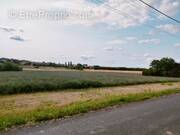 Terrain à LE ROCHEREAU