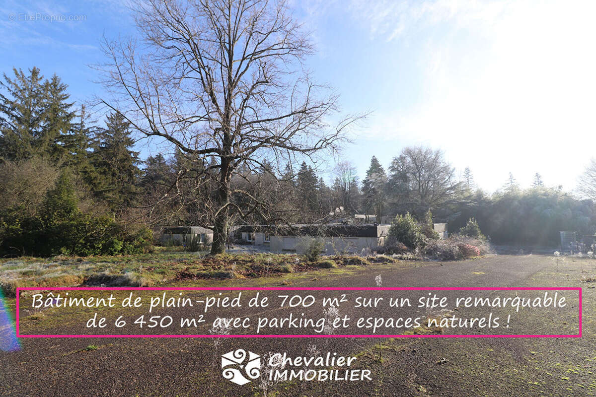 Commerce à SAINT-NOLFF