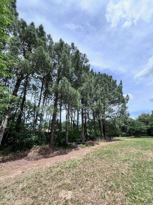Terrain Constructible de 879 m² - photo 3