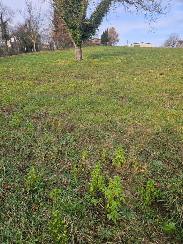 Terrain à SAINT-JEAN-SUR-VEYLE