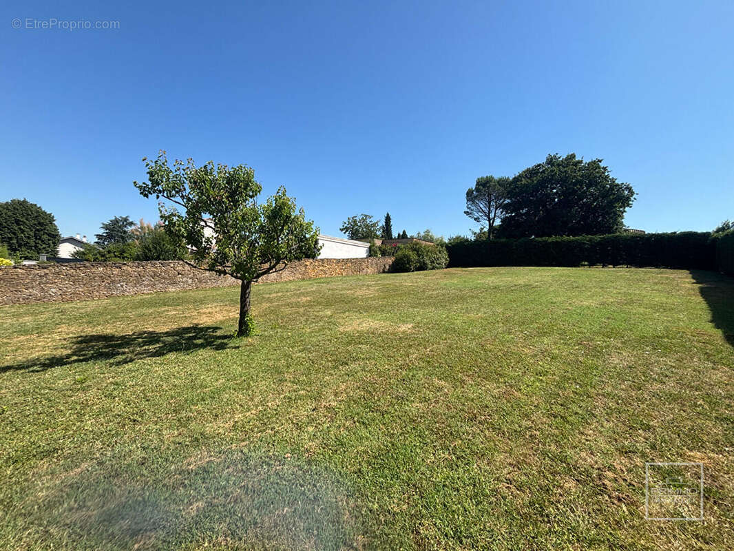 Lissieu - Terrain constructible de 1000 m²  - Vue sur les Monts du Lyonnais - photo 5