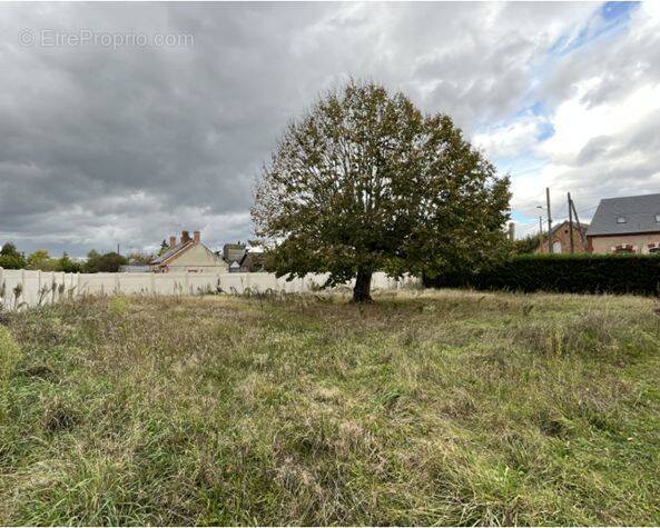 Terrain à LA MAROLLE-EN-SOLOGNE