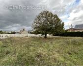 Terrain à LA MAROLLE-EN-SOLOGNE