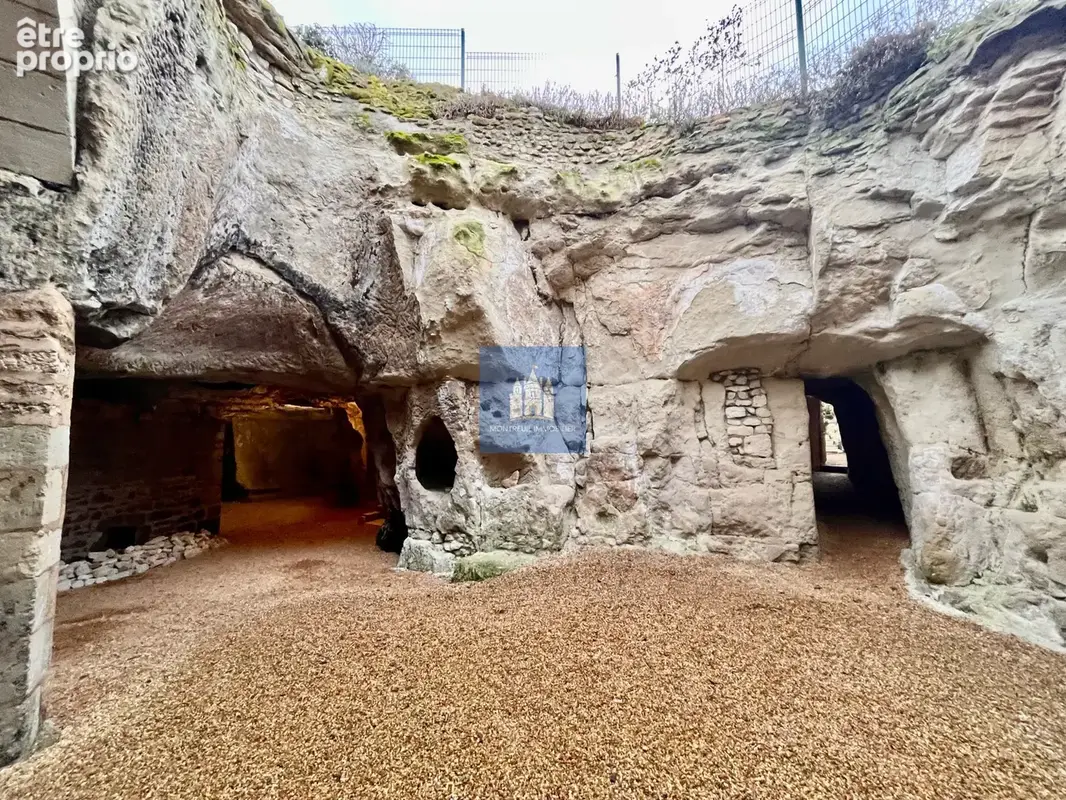 Pouançay (86) propriété de charme coeur village (5 ch) avec  grandes caves troglo - photo 29