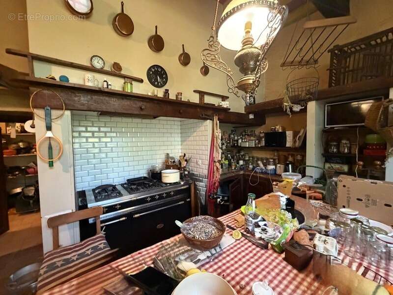 MARCIAC(32): ancienne SEIGNEURIE avec BEAU CHATEAU XIV sur 3,5ha, cachée, au bout du chemin, sans voisin, en campagne, 500m2 hab - photo 49