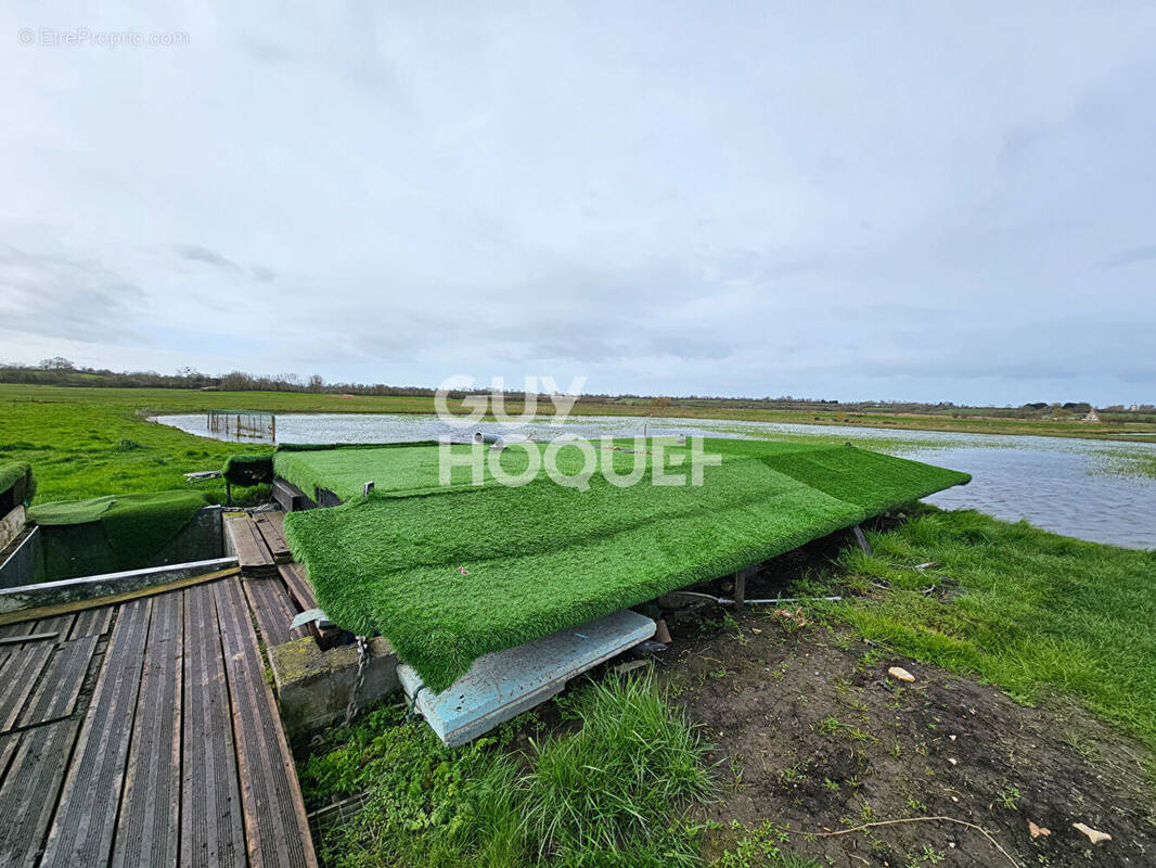 Terrain à CRICQUEVILLE-EN-BESSIN