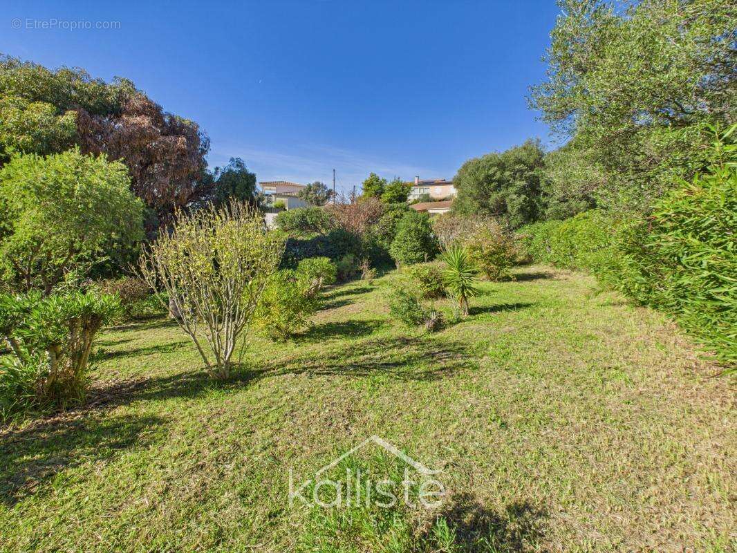 Maison à BASTELICACCIA