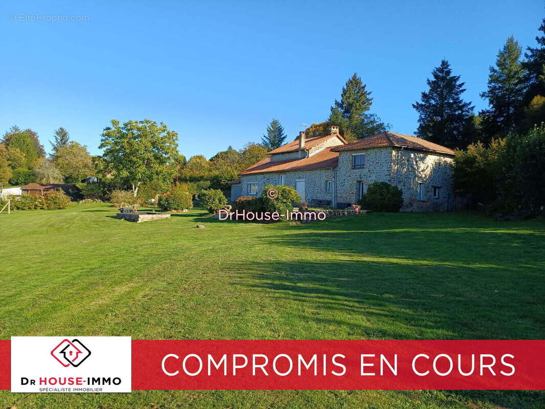 Maison 244 m² à Saint-Martin-Terressus  - photo 2