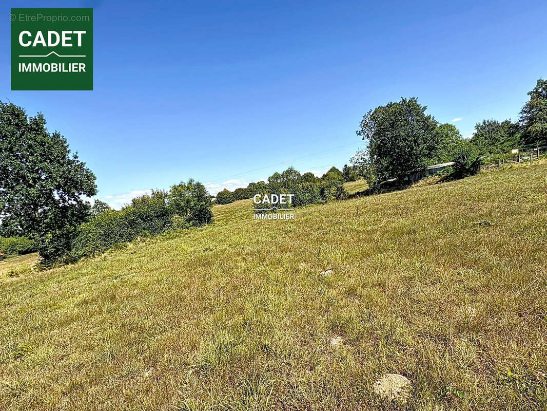 Terrain 11574 m² à Le Tanu  - photo 5