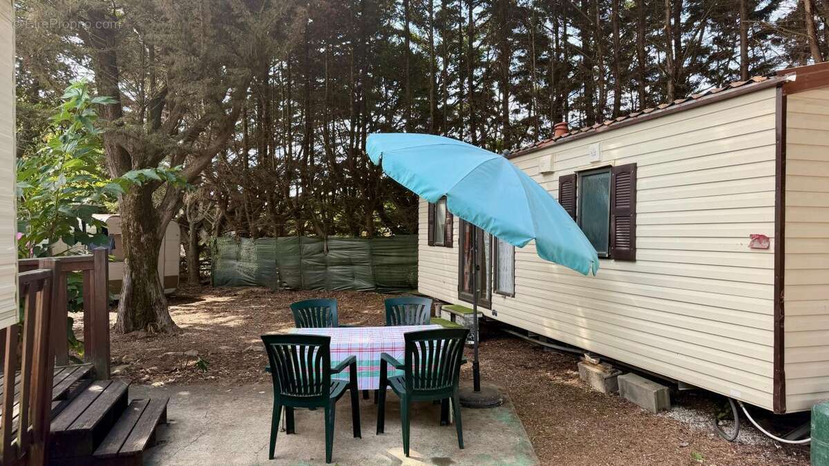 Exclusivité - La Couarde sur Mer - photo 2