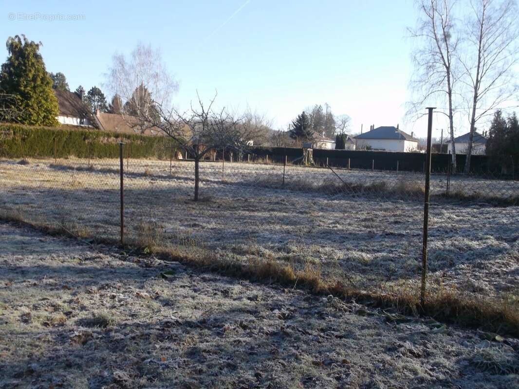 Terrain à BRUYERES-ET-MONTBERAULT