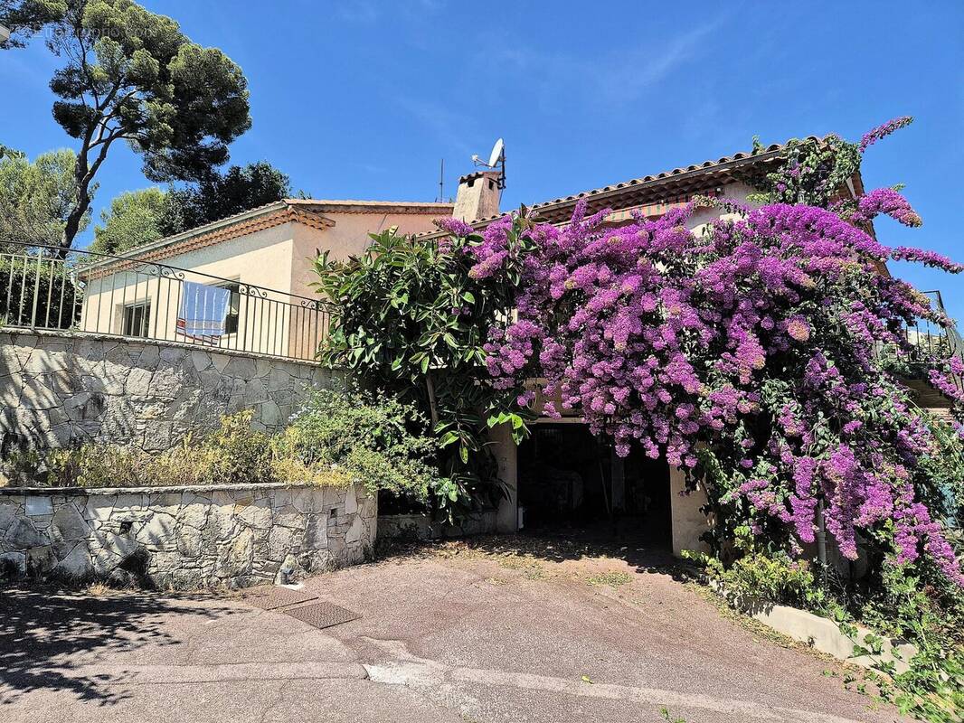 Maison à CANNES