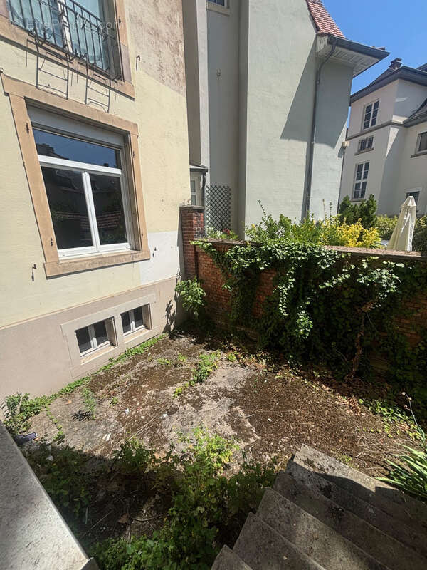 Commerce à STRASBOURG