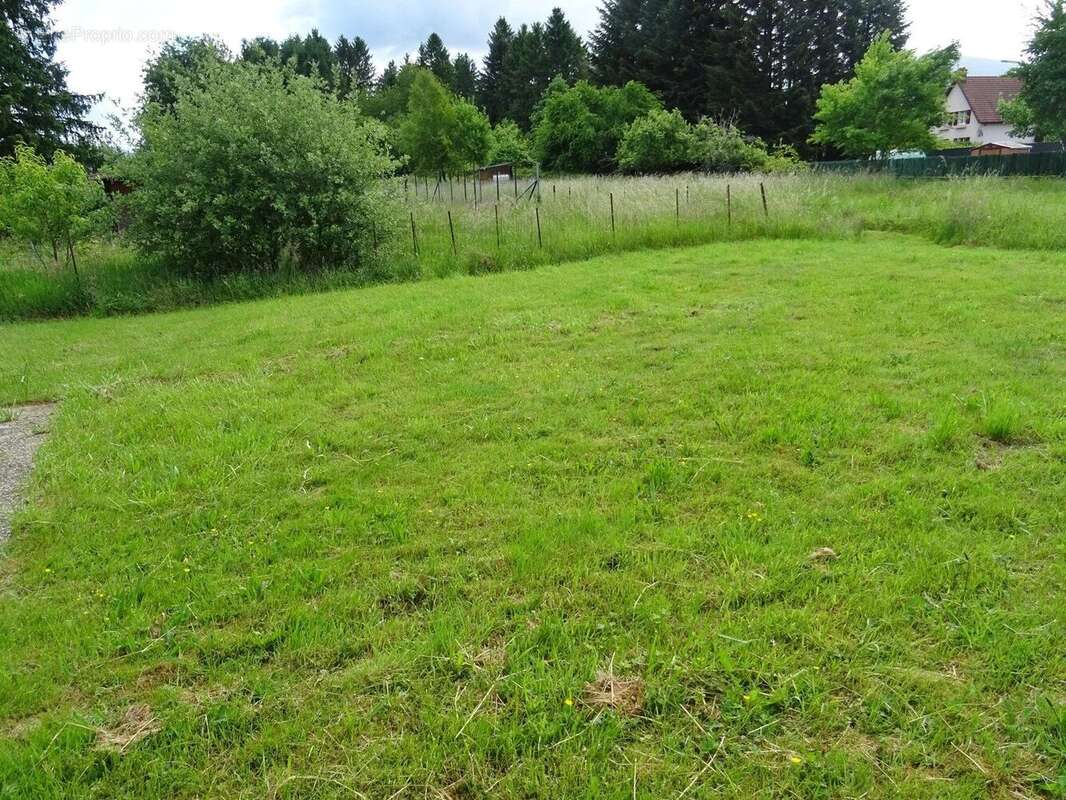 Maison à CELLES-SUR-PLAINE