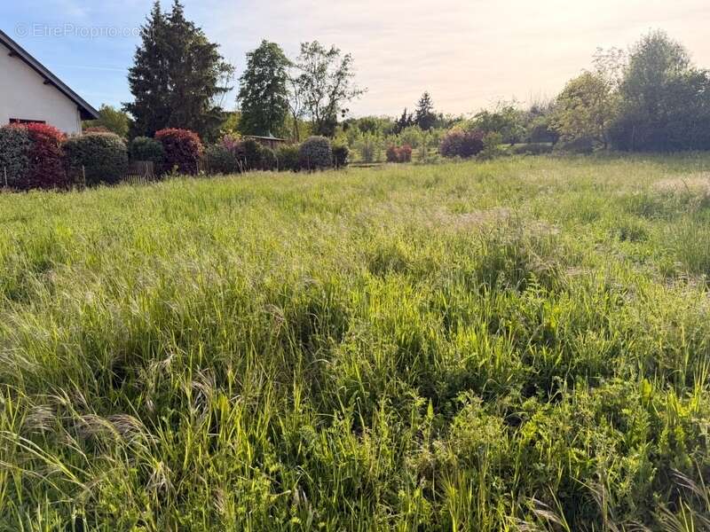 Terrain à AUXONNE