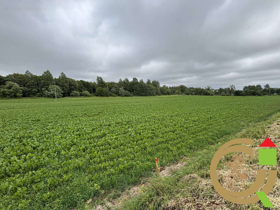 Terrain à LONGVILLIERS