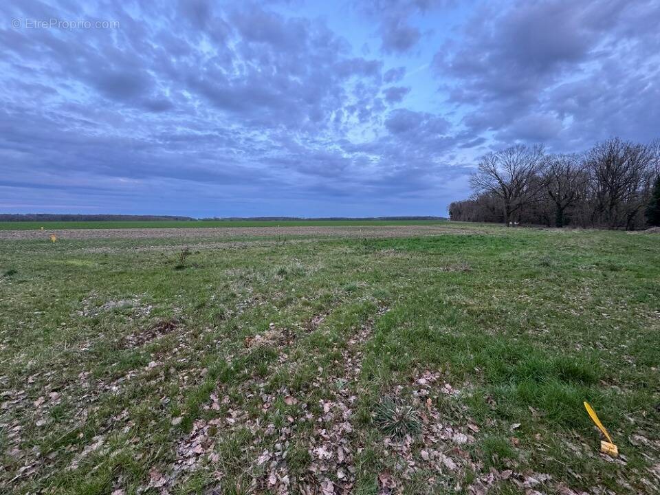 Terrain à MARCILLY-LA-CAMPAGNE