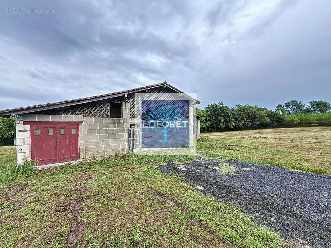 Maison à ORIGNOLLES