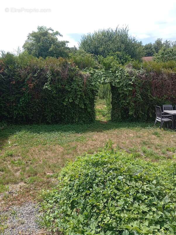 Maison à SIN-LE-NOBLE