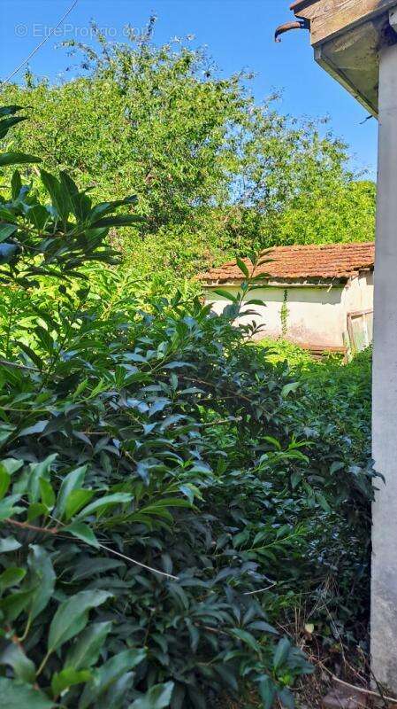 Maison à NUISEMENT-SUR-COOLE