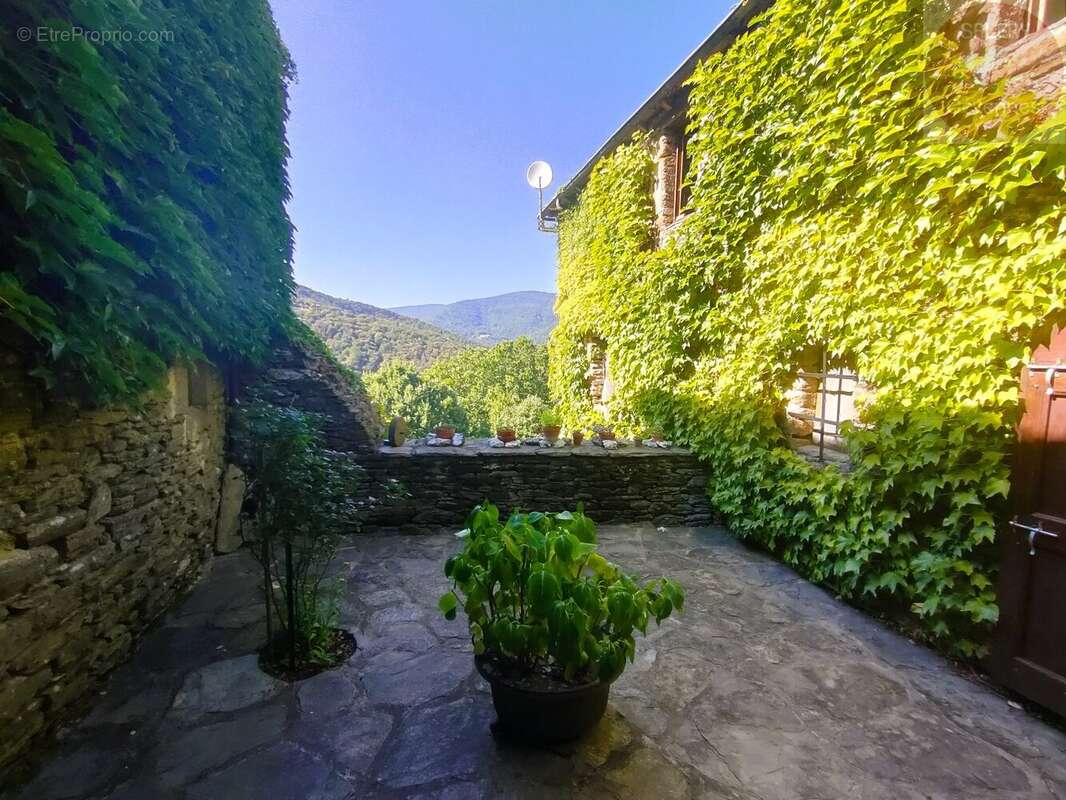 Mas cévenol - photo 3